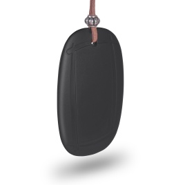 Ароматизатор AVS SG-009 Amulet (аром. Огненный лёд/Fire ice ) (гелевый)