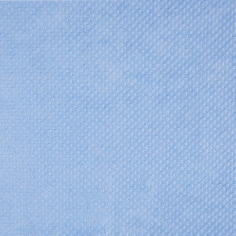 Бумага протирочная двухслойная (24х35см) 1000 листов PREMIUM AVS PT-2335 фото 2