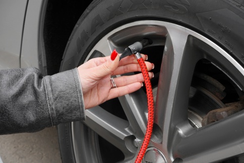 Насос механический двухцилиндровый AVS FP02 фото 9