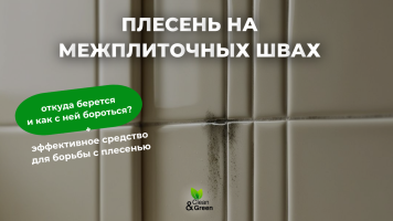 Плесень на межплиточных швах: откуда берется и как с ней справиться?